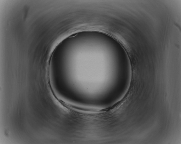X0000097591528200803071309