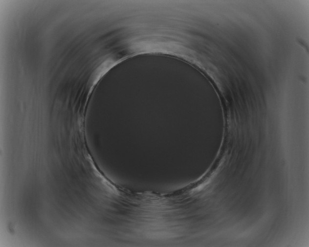 X0000097591529200803071309