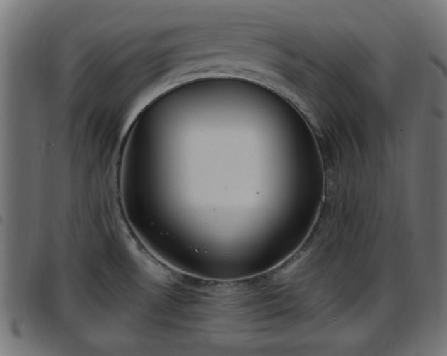 X0000097591530200803071309