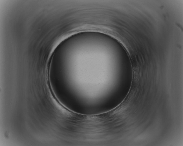 X0000097591531200803071309