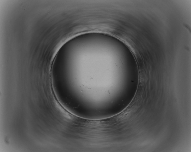 X0000097591532200803071309