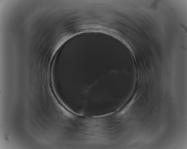 X0000097591533200803071309