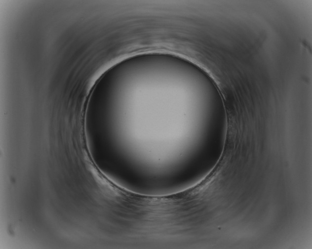 X0000097591534200803071309