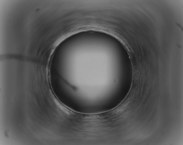 X0000097591535200803071309