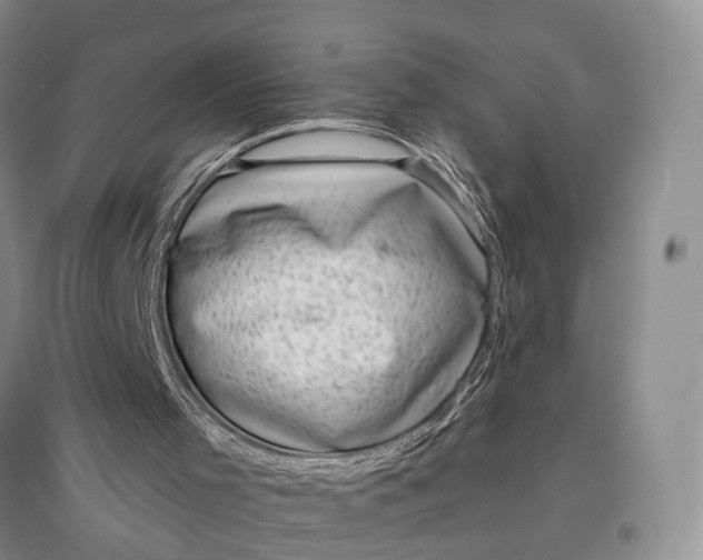 X0000097590001200803141905