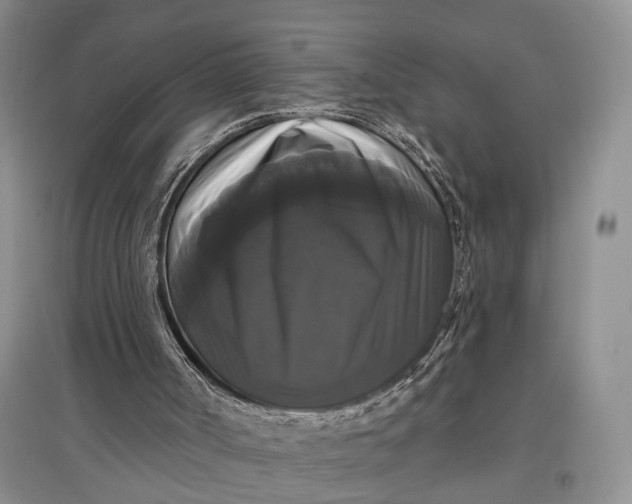 X0000097590002200803141905