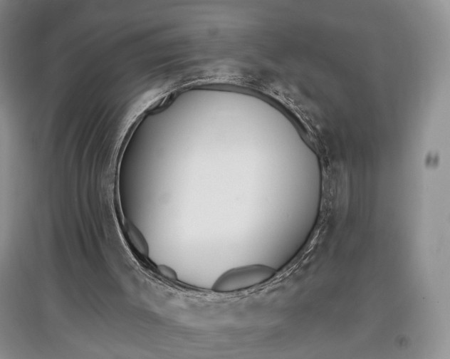 X0000097590003200803141905