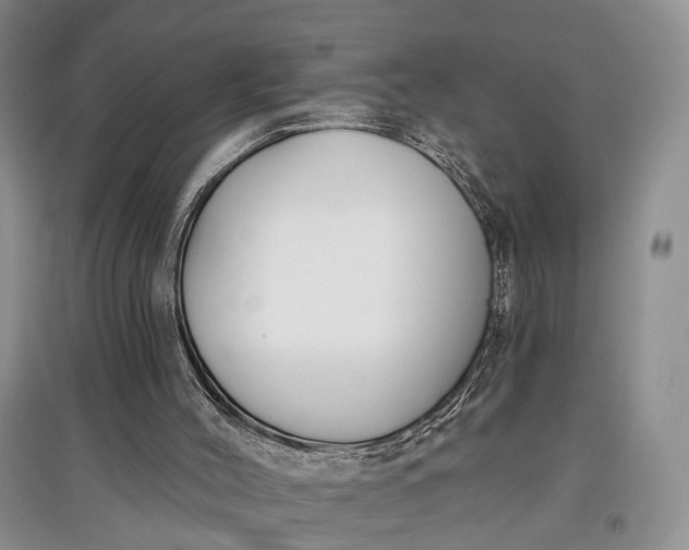 X0000097590004200803141905