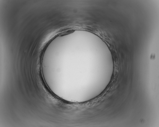 X0000097590005200803141905