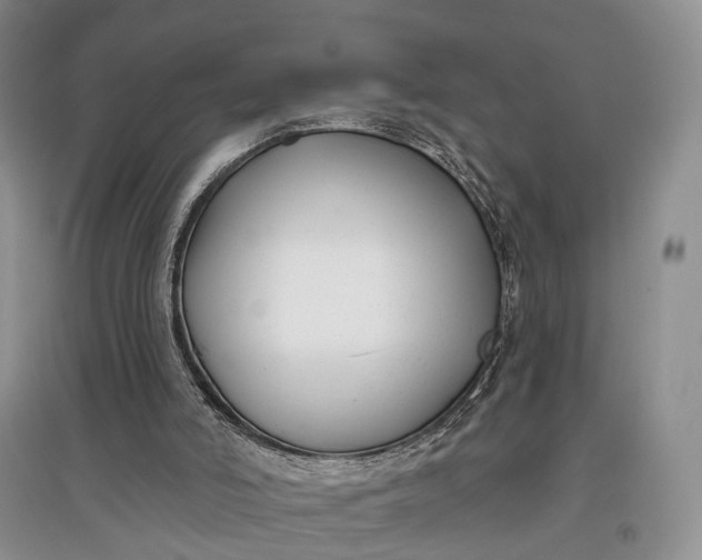 X0000097590006200803141905