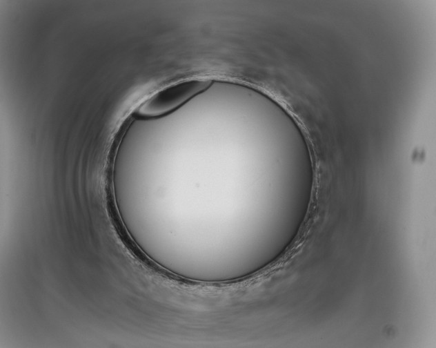 X0000097590007200803141905