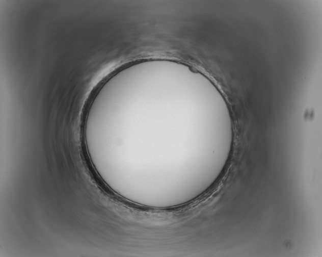 X0000097590008200803141905