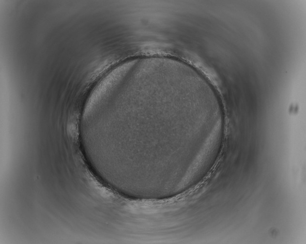 X0000097590009200803141905