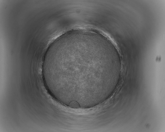 X0000097590010200803141905