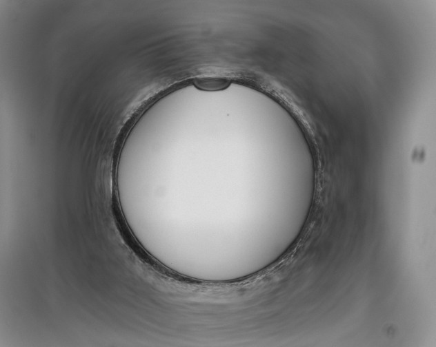 X0000097590011200803141905