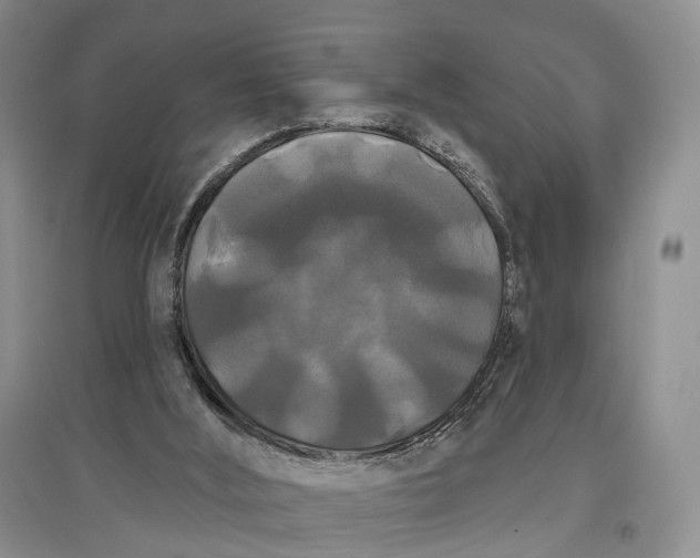 X0000097590012200803141905