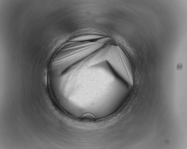 X0000097590014200803141904