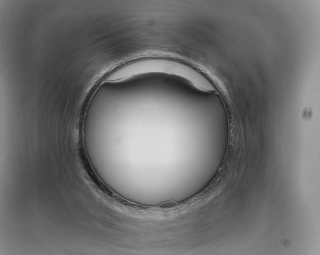 X0000097590015200803141904