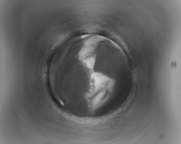 X0000097590018200803141904