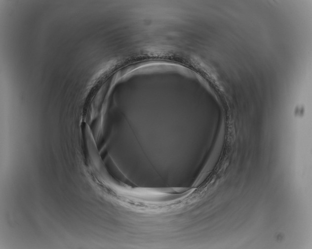 X0000097590019200803141904