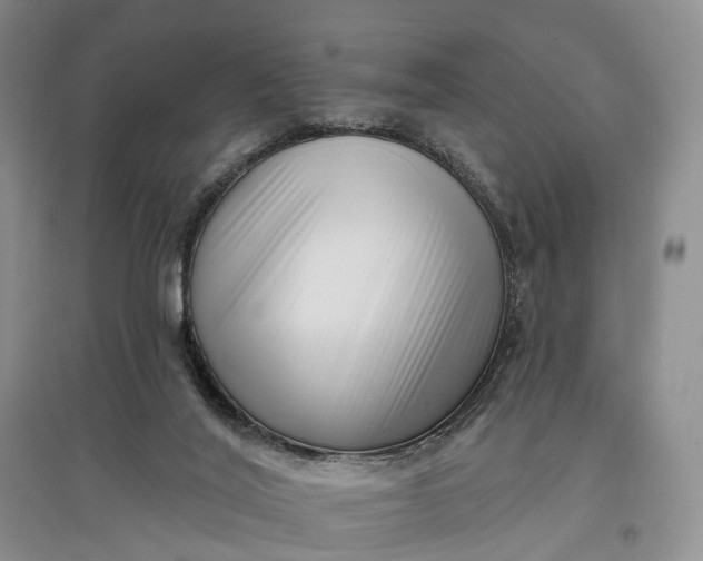 X0000097590020200803141904