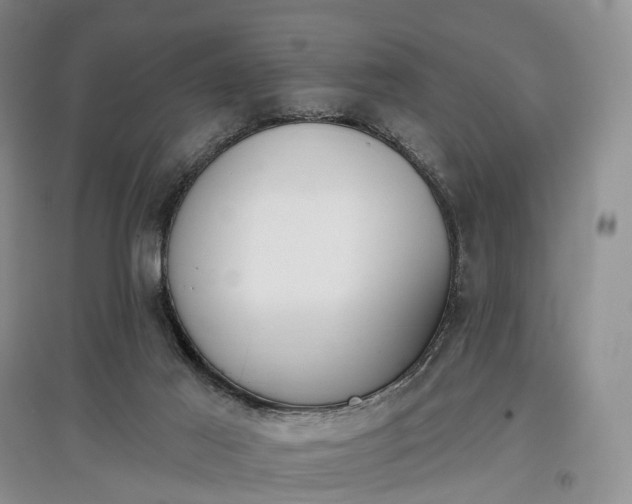 X0000097590021200803141904