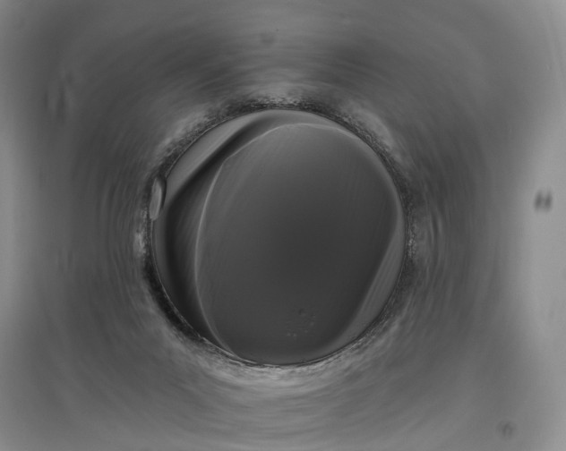 X0000097590023200803141904