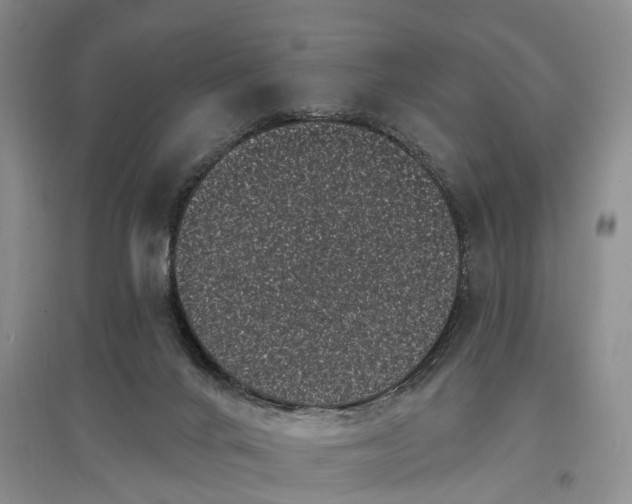 X0000097590024200803141904