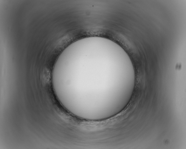 X0000097590025200803141904