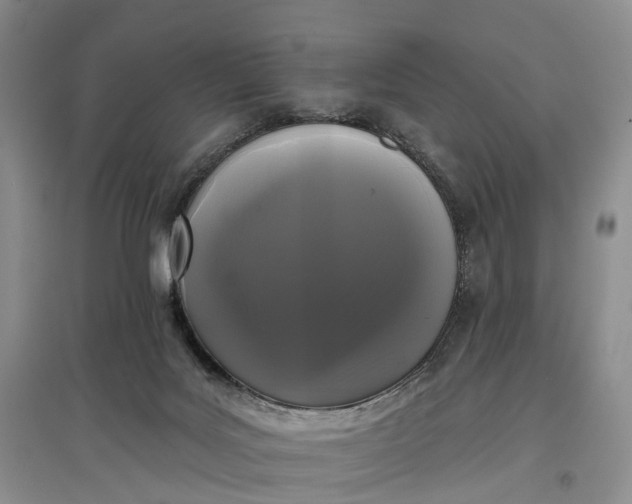 X0000097590027200803141904