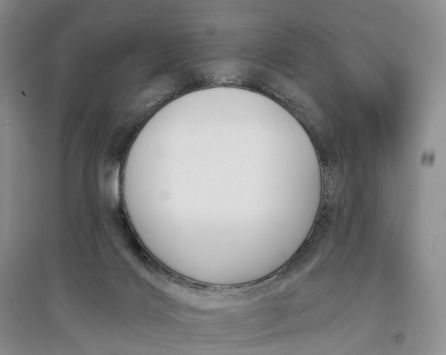 X0000097590028200803141904