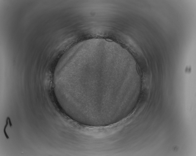 X0000097590029200803141904