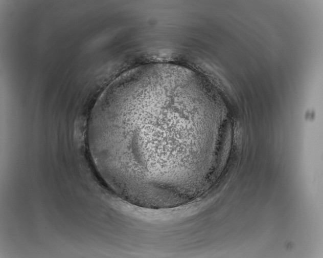 X0000097590030200803141904