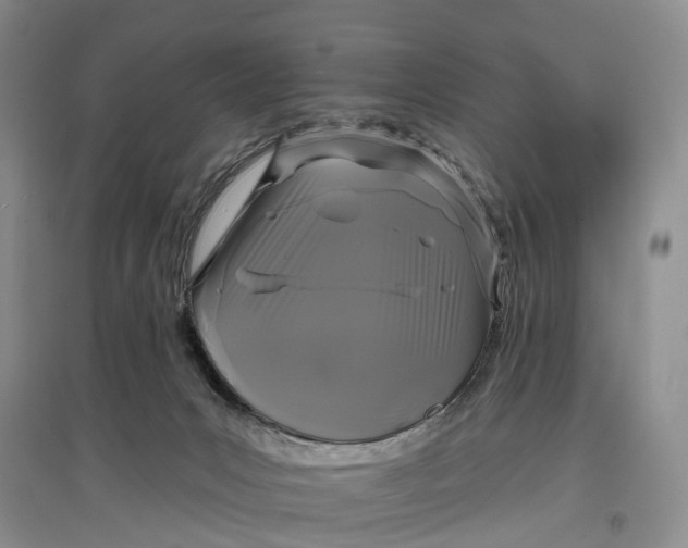 X0000097590031200803141904