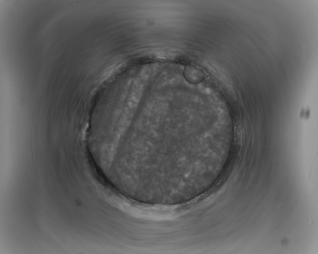 X0000097590032200803141904