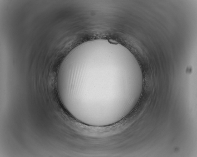 X0000097590034200803141904