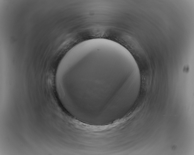 X0000097590035200803141904