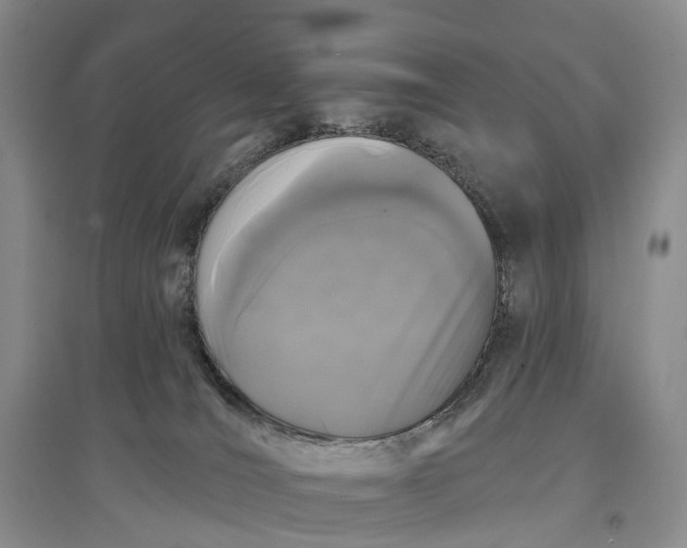 X0000097590036200803141904