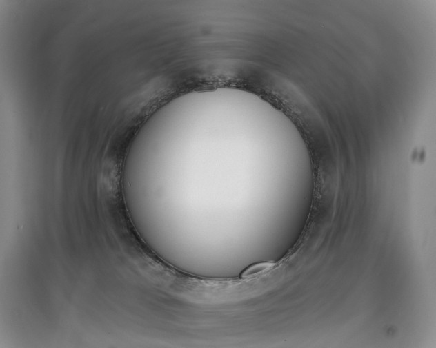 X0000097590037200803141904