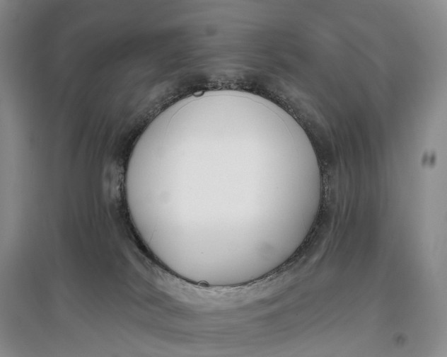 X0000097590038200803141904