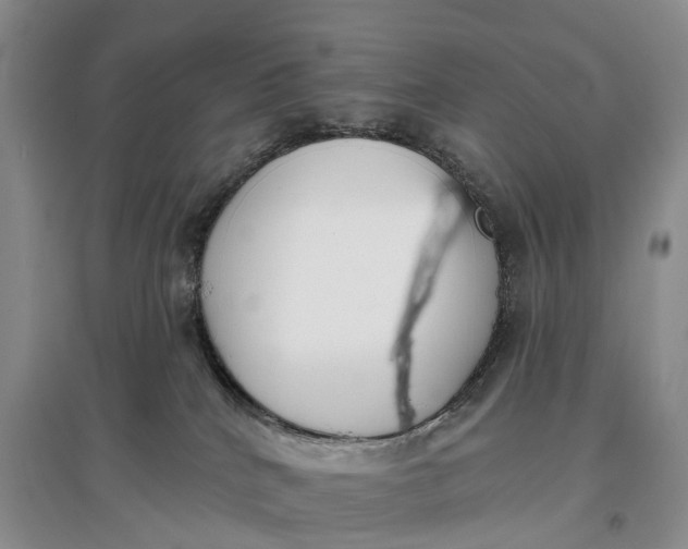 X0000097590040200803141904