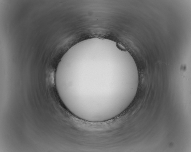 X0000097590042200803141904