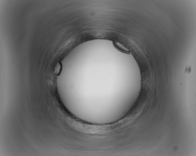 X0000097590044200803141904