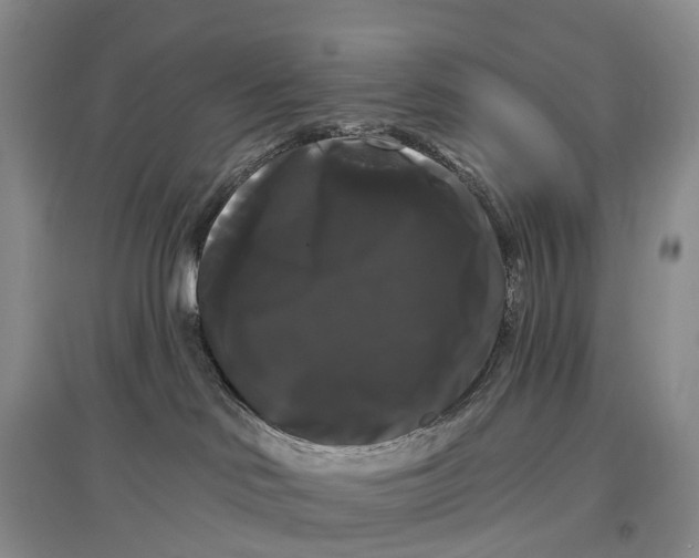 X0000097590046200803141904