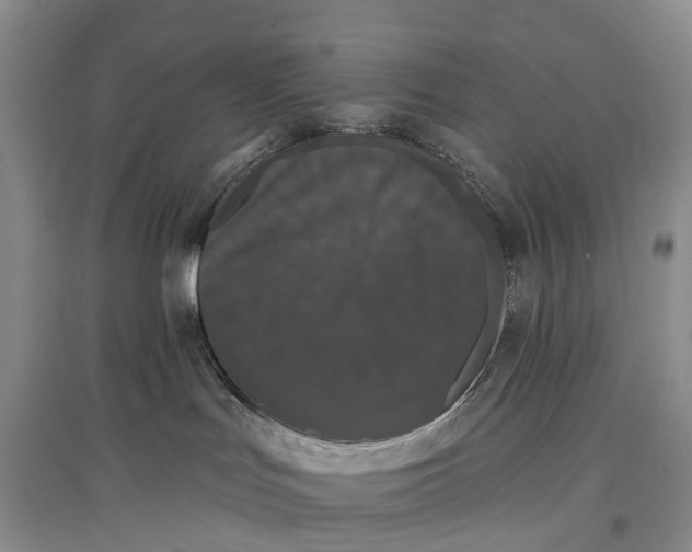 X0000097590047200803141904