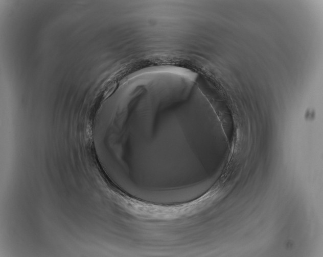 X0000097590048200803141904