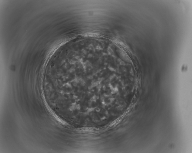 X0000097590049200803141903