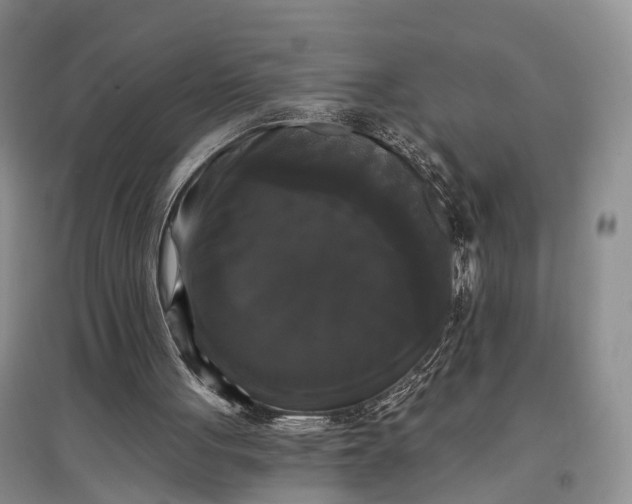 X0000097590051200803141903