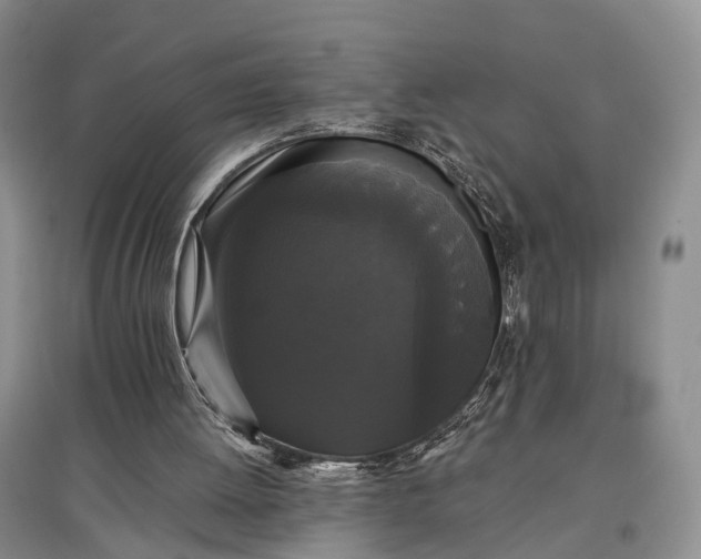 X0000097590052200803141903