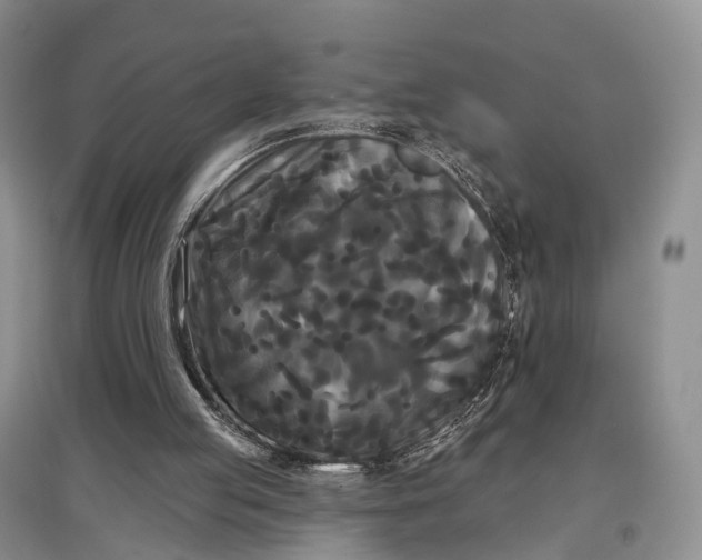 X0000097590053200803141903